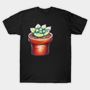 Cute Potted Succulent T-Shirt